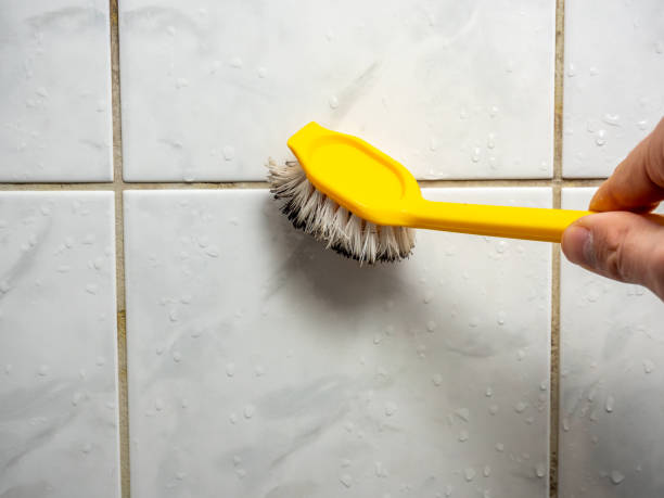 Best Mold Cleaning Services  in Port Sulphur, LA