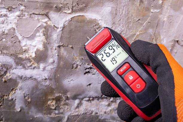 Professional Mold Removal in Port Sulphur, LA