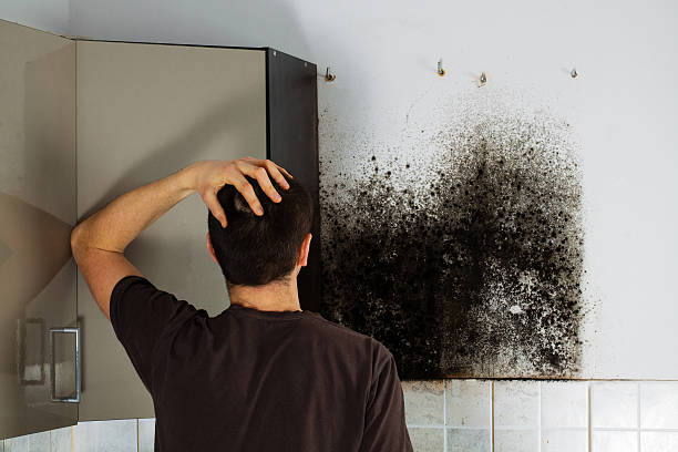 Crawl Space Mold Removal in Port Sulphur, LA